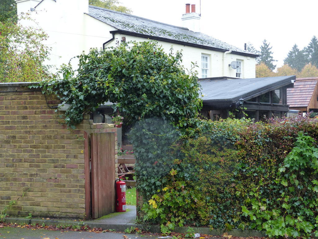 The Sun Inn Englefield Green Екстериор снимка